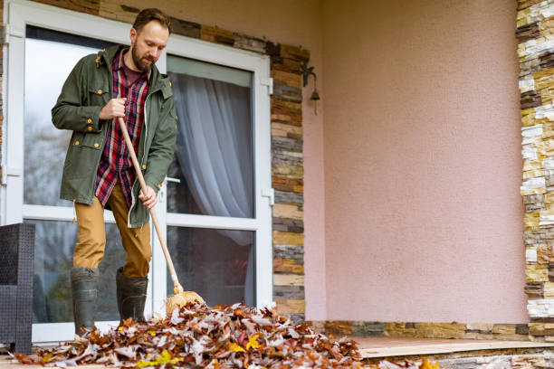 Best Basement Cleanout Services  in La Grange, NC